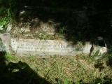 image of grave number 730712